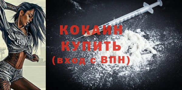МДПВ Пересвет