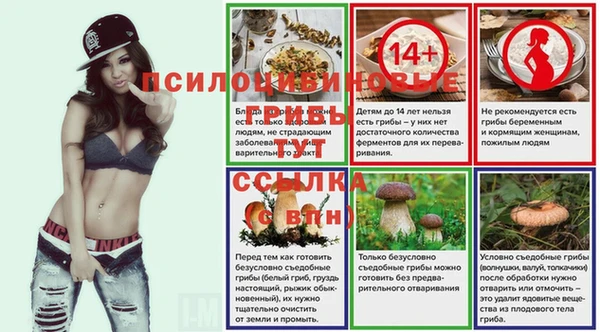 мет Переславль-Залесский
