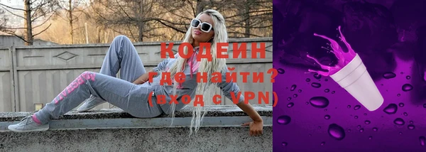 МДПВ Пересвет