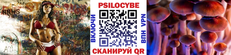 где можно купить наркотик  Заречный  MEGA вход  Псилоцибиновые грибы GOLDEN TEACHER 